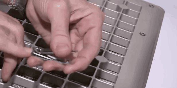 Clipping Nails
